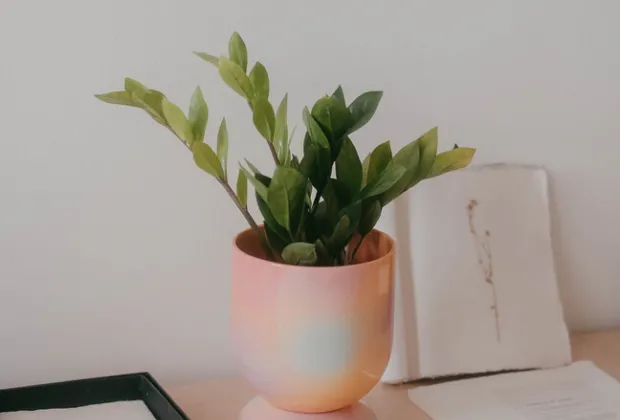 Pieza realizada por artesano