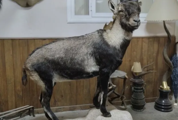 Pieza realizada por artesano